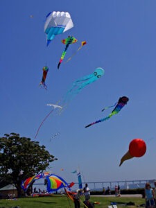 Fly a kite