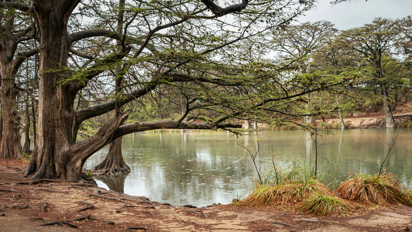A peaceful view of the Frio River in Garner State Park, Texas